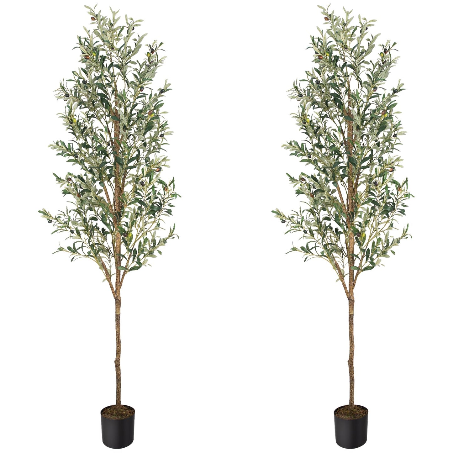 Artificial Fake Olive Tree 6FT Tall 1Pack Faux Silk Olive Tree for Home Living Room Office Decor Faux Artificial Plants Indoor Fake Potted Plants with Fruit & Free Moss